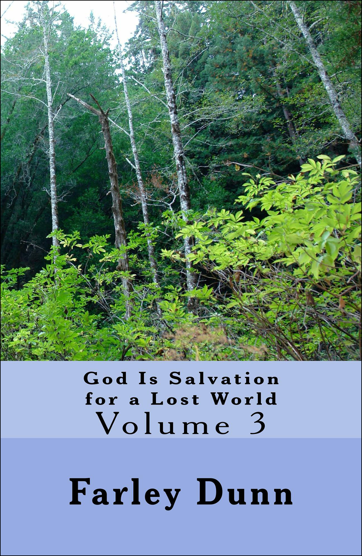 God Is Salvation for Cover for web insertion Vol 3